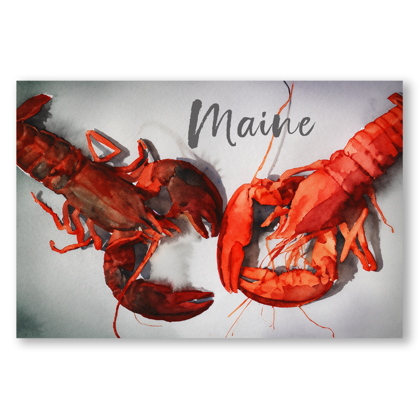 Maine Lobster Postcards (5 Pack)