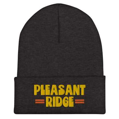 Pleasant Ridge Beanie