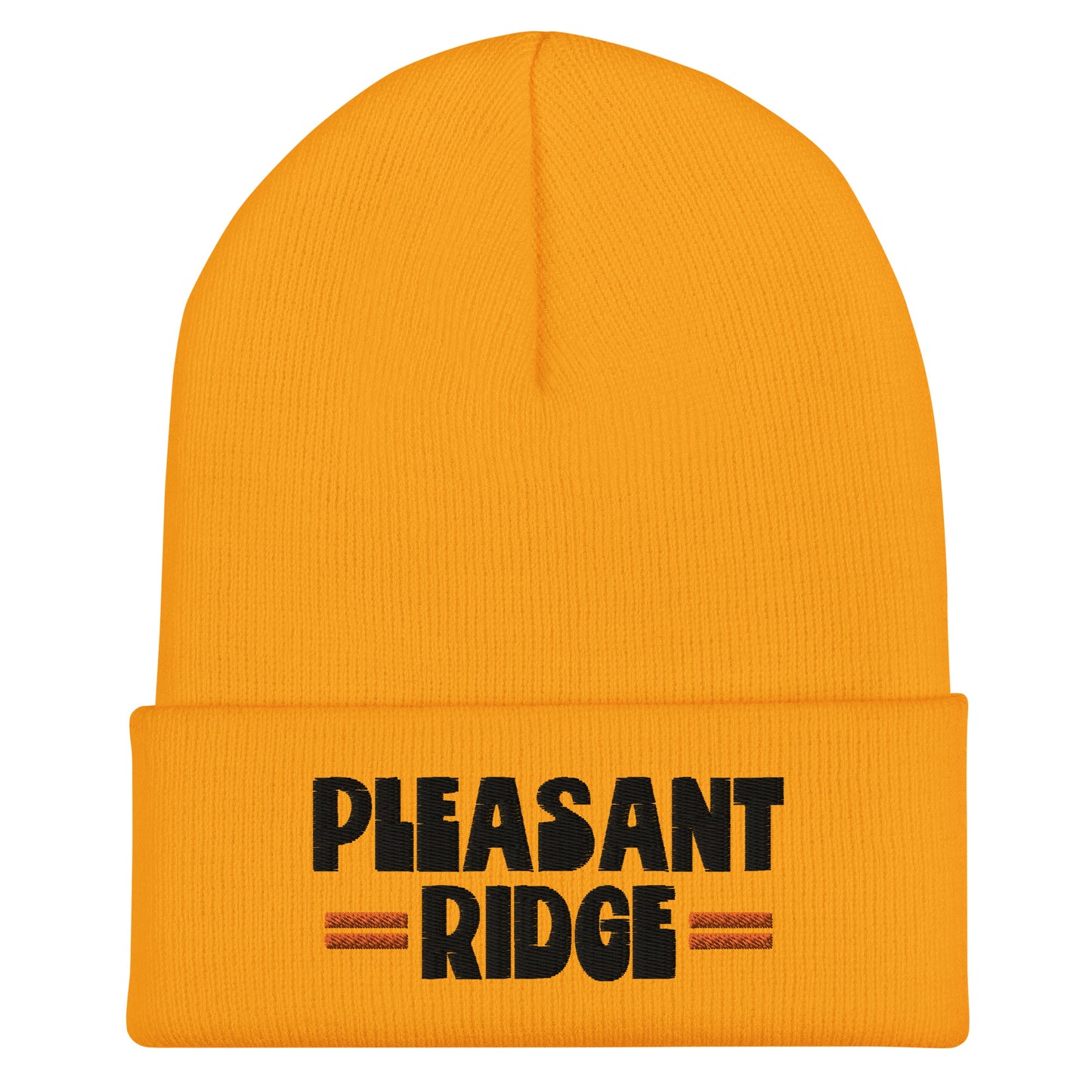 Pleasant Ridge Beanie