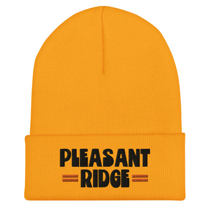 Pleasant Ridge Beanie